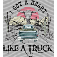 Country music-CM-1070